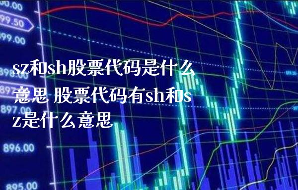 sz和sh股票代码是什么意思 股票代码有sh和sz是什么意思_https://www.londai.com_股票投资_第1张