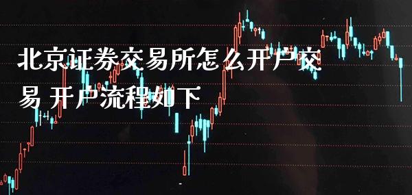 证券交易所怎么开户交易 开户流程如下_https://www.londai.com_股票投资_第1张