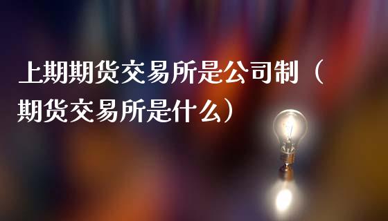 上期期货交易所是公司制（期货交易所是什么）_https://www.londai.com_期货投资_第1张