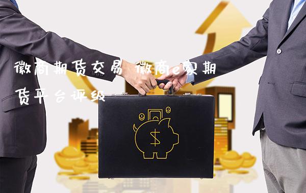 徽商期货交易 徽商e家期货平台评级_https://www.londai.com_期货投资_第1张