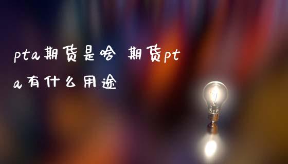 pta期货是啥 期货pta有什么用途_https://www.londai.com_期货投资_第1张