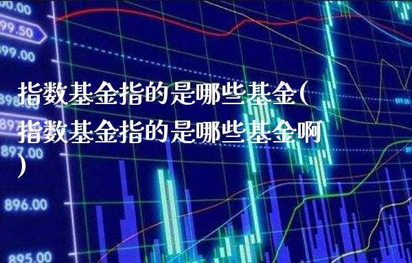 指数基金指的是哪些基金(指数基金指的是哪些基金啊)_https://www.londai.com_基金理财_第1张