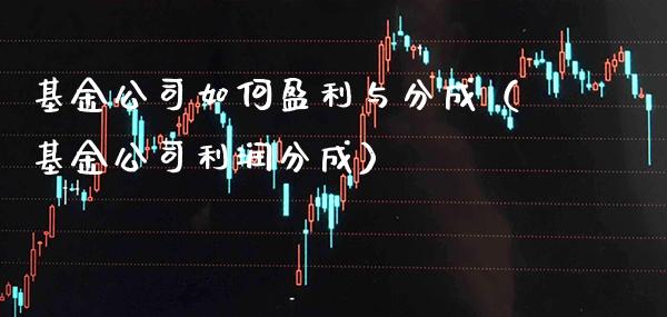 基金公司如何盈利与分成（基金公司利润分成）_https://www.londai.com_基金理财_第1张