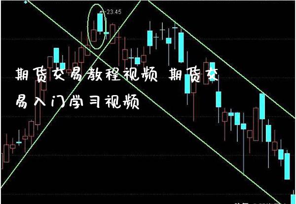 期货交易教程视频 期货交易入门学视频_https://www.londai.com_期货投资_第1张