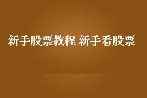 新手股票教程 新手看股票_https://www.londai.com_股票投资_第1张