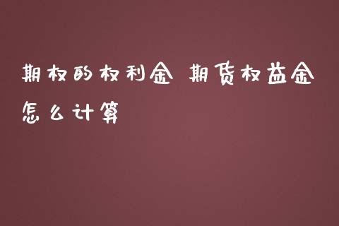 期权的权利金 期货权益金怎么计算_https://www.londai.com_期货投资_第1张