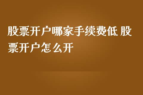 股票开户哪家手续费低 股票开户怎么开_https://www.londai.com_股票投资_第1张