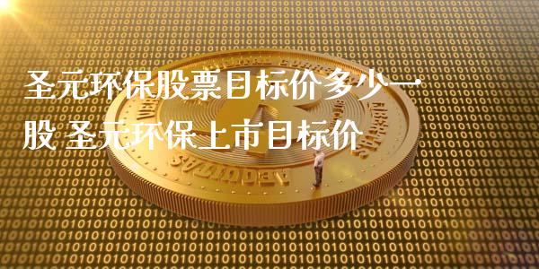 圣元环保股票目标价多少一股 圣元环保上市目标价_https://www.londai.com_股票投资_第1张