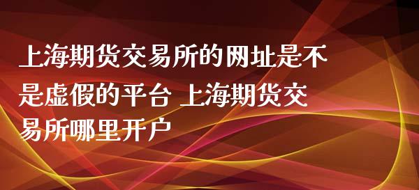 上海期货交易所的网址是不是虚假的平台 上海期货交易所哪里开户_https://www.londai.com_期货投资_第1张