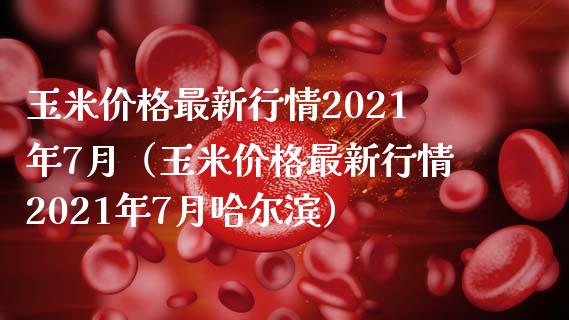 玉米价格最新行情2021年7月（玉米价格最新行情2021年7月哈尔滨）_https://www.londai.com_期货投资_第1张