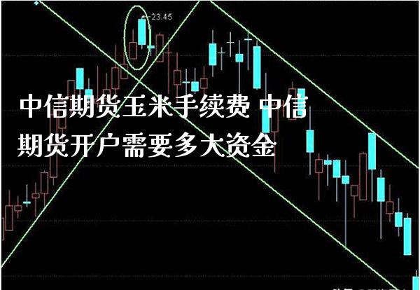 中信期货玉米手续费 中信期货开户需要多大资金_https://www.londai.com_期货投资_第1张