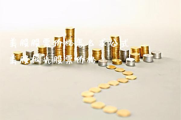 美股股票价格怎么求公式 美股极光股票价格_https://www.londai.com_股票投资_第1张