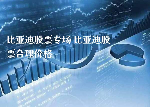 比亚迪股票专场 比亚迪股票合理价格_https://www.londai.com_股票投资_第1张