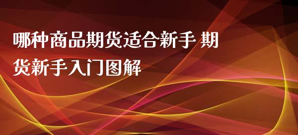 哪种商品期货适合新手 期货新手入门图解_https://www.londai.com_期货投资_第1张