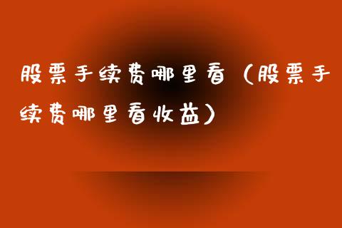 股票手续费哪里看（股票手续费哪里看收益）_https://www.londai.com_期货投资_第1张