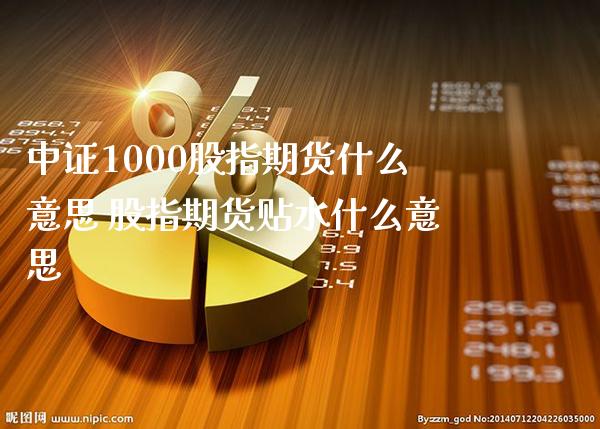 中证1000股指期货什么意思 股指期货贴水什么意思_https://www.londai.com_期货投资_第1张