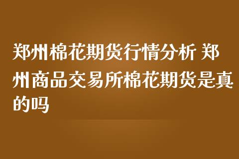 郑州棉花期货行情分析 郑州商品交易所棉花期货是真的吗_https://www.londai.com_期货投资_第1张