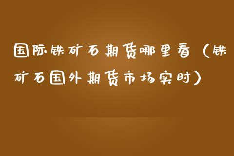 国际铁矿石期货哪里看（铁矿石国外期货市场实时）_https://www.londai.com_期货投资_第1张