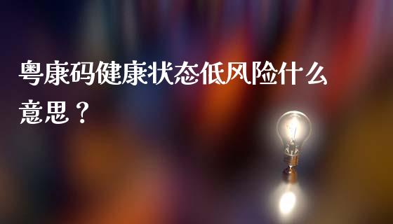 粤康码健康状态低风险什么意思？_https://www.londai.com_保险理财_第1张