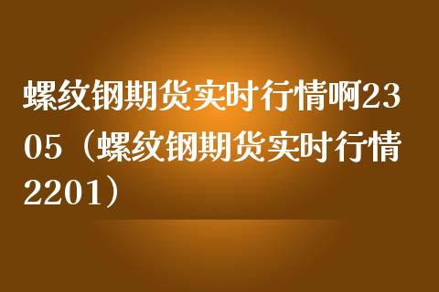 螺纹钢期货实时行情啊2305（螺纹钢期货实时行情2201）_https://www.londai.com_期货投资_第1张