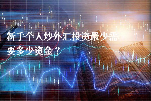 新手个人炒外汇投资最少需要多少资金？_https://www.londai.com_其他投资_第1张