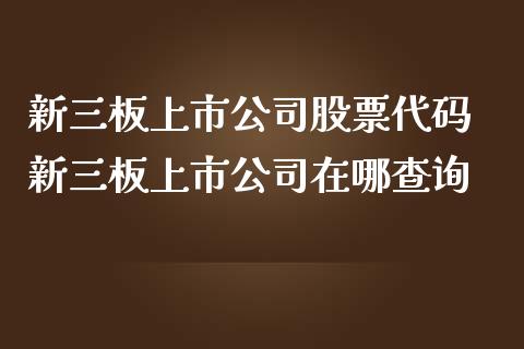 新三板上市公司股票代码 新三板上市公司在哪查询_https://www.londai.com_股票投资_第1张