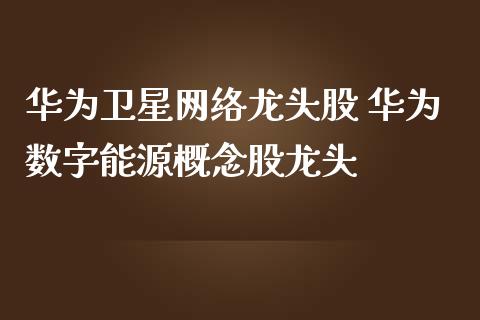 华为卫星网络龙头股 华为数字能源概念股龙头_https://www.londai.com_股票投资_第1张