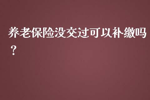 养老保险没交过可以补缴吗？_https://www.londai.com_保险理财_第1张