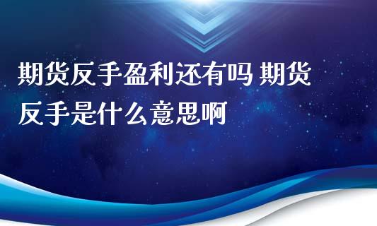 期货反手盈利还有吗 期货反手是什么意思啊_https://www.londai.com_期货投资_第1张