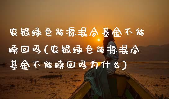 农银绿色能源混合基金不能赎回吗(农银绿色能源混合基金不能赎回吗为什么)_https://www.londai.com_基金理财_第1张