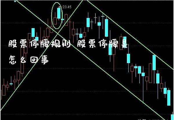 股票停牌规则 股票停牌是怎么回事_https://www.londai.com_股票投资_第1张