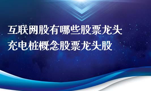 互联网股有哪些股票龙头 充电桩概念股票龙头股_https://www.londai.com_股票投资_第1张