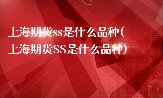 上海期货ss是什么品种(上海期货SS是什么品种)_https://www.londai.com_期货投资_第1张