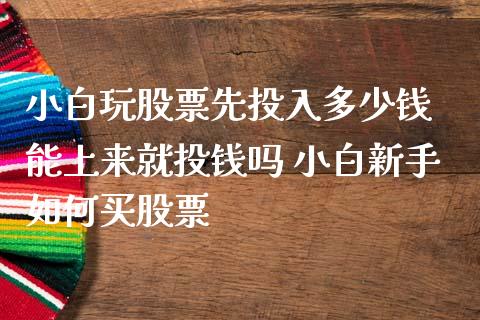 小股票先投入多少钱 能上来就投钱吗 小白新手如何买股票_https://www.londai.com_股票投资_第1张