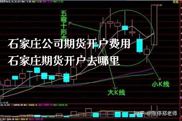 石家庄公司期货开户费用 石家庄期货开户去哪里_https://www.londai.com_期货投资_第1张