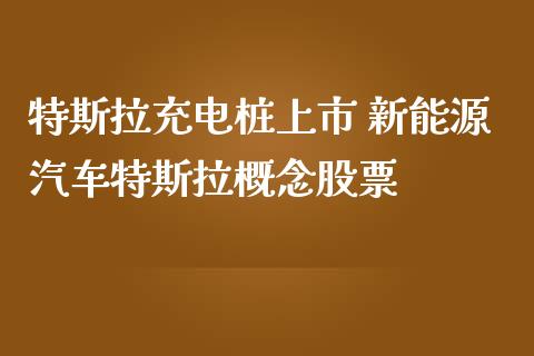 特斯拉充电桩上市 新能源汽车特斯拉概念股票_https://www.londai.com_股票投资_第1张