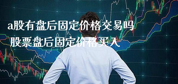 a股有盘后固定价格交易吗 股票盘后固定价格买入_https://www.londai.com_股票投资_第1张