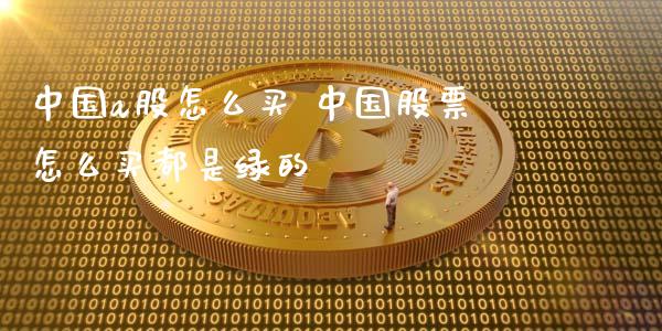 中国a股怎么买 中国股票怎么买都是绿的_https://www.londai.com_股票投资_第1张