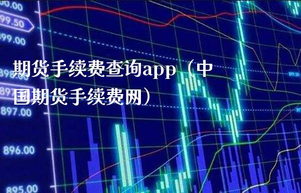 期货手续费查询app（中国期货手续费网）_https://www.londai.com_期货投资_第1张