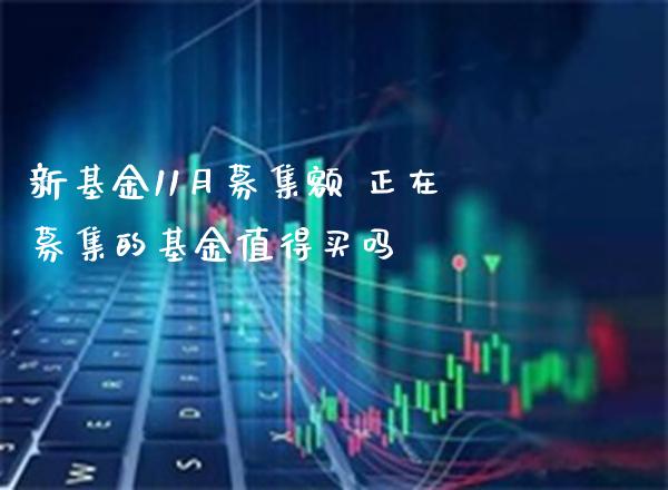 新基金11月募集额 正在募集的基金值得买吗_https://www.londai.com_基金理财_第1张