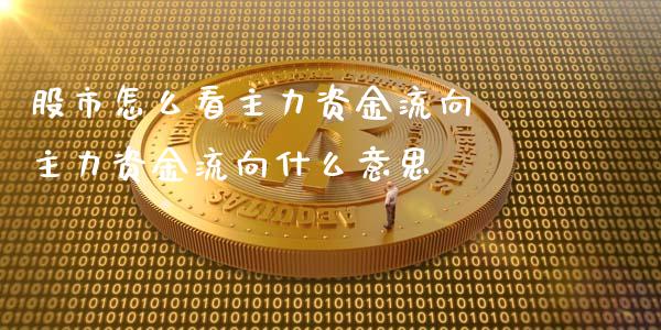 股市怎么看主力资金流向 主力资金流向什么意思_https://www.londai.com_股票投资_第1张