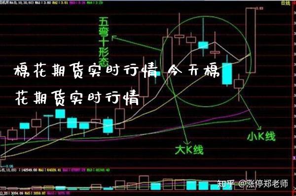 棉花期货实时行情 今天棉花期货实时行情_https://www.londai.com_期货投资_第1张