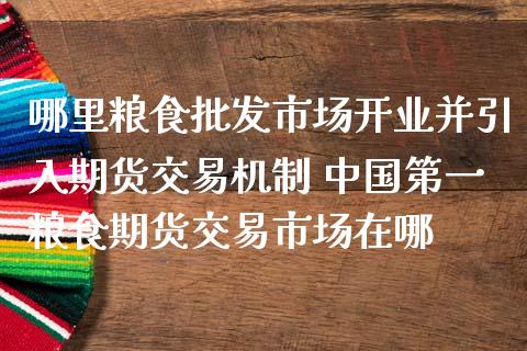 哪里粮食批发市场开业并引入期货交易机制 中国第一粮食期货交易市场在哪_https://www.londai.com_期货投资_第1张