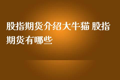 股指期货介绍大牛猫 股指期货有哪些_https://www.londai.com_期货投资_第1张