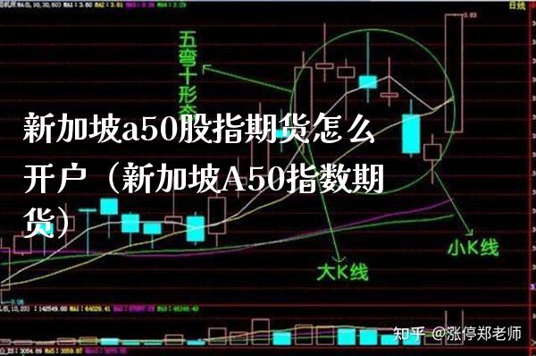 新加坡a50股指期货怎么开户（新加坡A50指数期货）_https://www.londai.com_期货投资_第1张