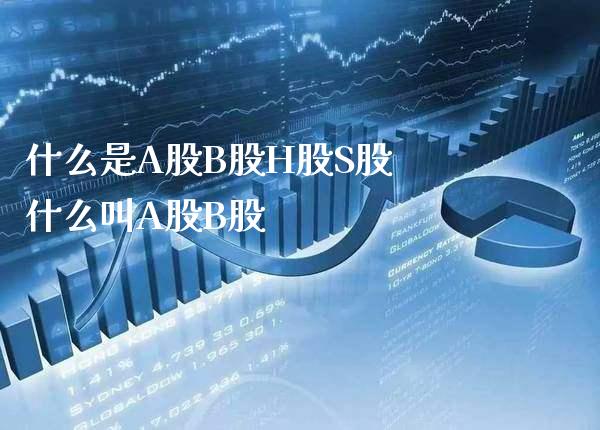 什么是A股B股H股S股 什么叫A股B股_https://www.londai.com_股票投资_第1张