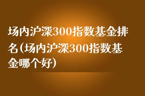 场内沪深300指数基金排名(场内沪深300指数基金哪个好)_https://www.londai.com_基金理财_第1张