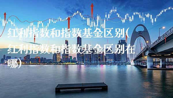 红利指数和指数基金区别(红利指数和指数基金区别在哪)_https://www.londai.com_基金理财_第1张