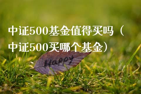 中证500基金值得买吗（中证500买哪个基金）_https://www.londai.com_期货投资_第1张