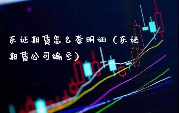 东证期货怎么查明细（东证期货公司编号）_https://www.londai.com_期货投资_第1张